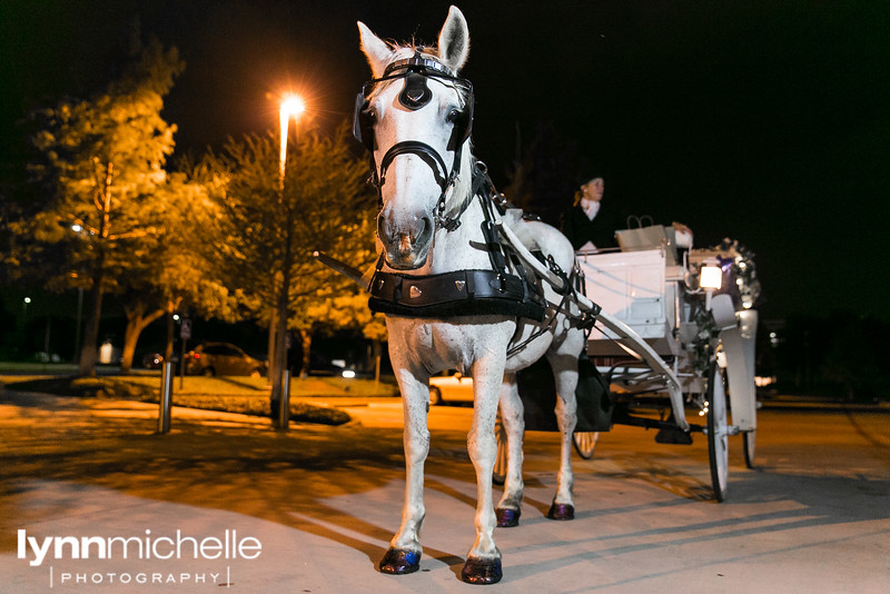 horse and carriage get away wedding modern