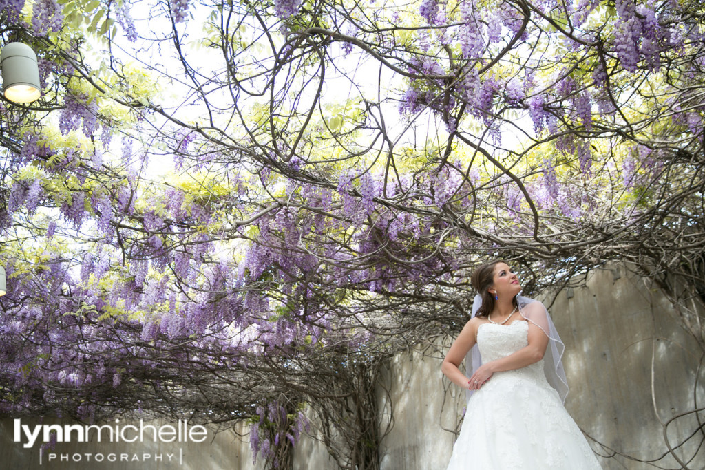 bride with purple wisteria